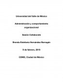 Administración y comportamiento organizacional