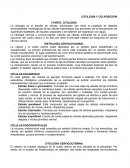 CITOLOGÍA Y COLPOSCOPÍA