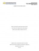 AMBIENTES DE MERCADEO. GERENCIA DE RIESGOS LABORALES