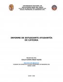 INFORME DE ESTUDIANTE AYUDANTÍA DE CÁTEDRA