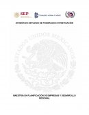 MAESTRÍA EN PLANIFICACIÓN DE EMPRESAS Y DESARROLLO REGIONAL