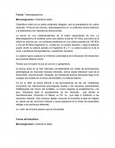 Microbiologia. Toxina: Tetanoespasmina