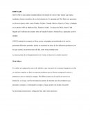 Reporte de empresas de Modelo de nuevos negocios