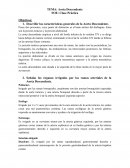 Aorta Descendente FOE: Clase Práctica