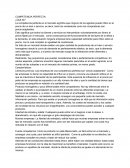 COMPETENCIA PERFECTA: ¿Qué es?