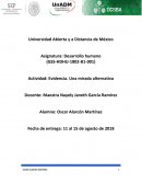 Análisis video una mirada alternativa