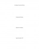 Discursos Social, político y científico