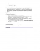 Seguridad e higiene. Objetivos específicos