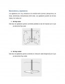 Mezcladores y Agitadores