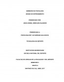 SEMINARIO DE PSICOLOGIA SESION DE ENTRENAMIENTO