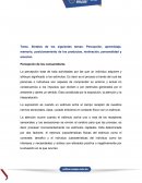 Síntesis de los siguientes temas: Percepción, aprendizaje, memoria, posicionamiento de los productos, motivación, personalidad y emoción