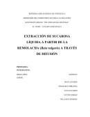 Extraccion de sucarosa de la remolacha