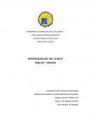 Intervencion en el rol clinico publico y privado