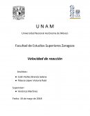 Velocidad de reacción. La cinética química