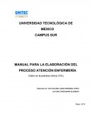 MANUAL PARA ELABORACION DE PAE
