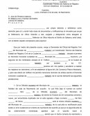 DEMANDA DE NULIDAD DE ACTA DE NACIMIENTO