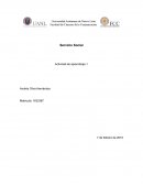 Ejemplo de la actividad 1 del servicio social