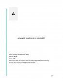 Beneficios de un sistema ERP