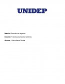 DIRECCION DE NEGOCIOS GMG Seguros y Fianzas