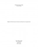 Asuntos y problemas éticos de la gerencia internacional