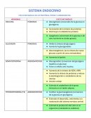 HORMONAS. EFECTO METABÓLICO