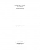 Efecto que causa el acoso laboral en los seres humanos