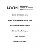 CASO PRÁCTICO CIVIL