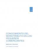 CONOCIMIENTOS E IMPACTO DE LA REFORMA TRIBUTARIA EN LOS PEQUEÑOS COMERCIANTES DE LA LOCALIDAD TERCERA