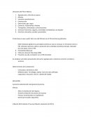 Divisiones del PIB en México