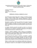 SÍNTESIS DE LA PELÍCULA DIARIOS DE LA CALLE