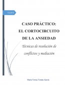 CASO PRÁCTICO EL CORTOCIRCUITO DE LA ANSIEDAD