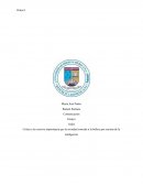 Belleza vs inteligencia