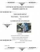 FABULA ECOLOGICA - VERILU