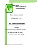 Desarrollo sustentable. ANALISIS DE EXPOSICIONES