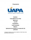 Aplicación de prueba en la selección de personal