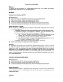 Prueba de Concepto SEG