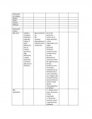 Planeación Estratégica. Planeación Táctica