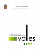 Definición de la estrategia promocional