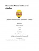 RESUMEN MICROECONOMIA