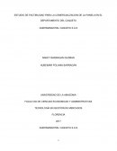 ESTUDIO DE FACTIBILIDAD PARA LA COMERCIALIZACION DE LA PANELA EN EL DEPARTAMENTO DEL CAQUETA