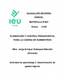 PLANEACIÓN Y CONTROL PRESUPUESTAL PARA LA CADENA DE SUMINISTROS