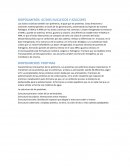 BIOPOLIMEROS: ACIDOS NUCLEICOS Y AZUCARES