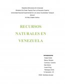 Presupuesto empresarial