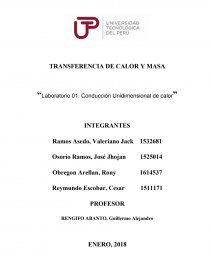 Conducción Unidimensional de calor. Página 1