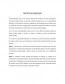 Proyecto de exportacion