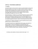 TRASTORNOS ALIMENTICIOS. Anorexia