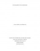 FUNCIONAMIENTO DE LOS MERCADOS