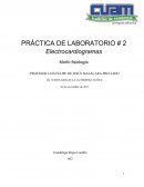 Práctica de Morfo fisiología