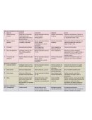 Músculos del abdomen (anterolateral)