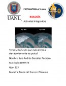 ¿Qué es lo que más afecta al derretimiento de los polos?